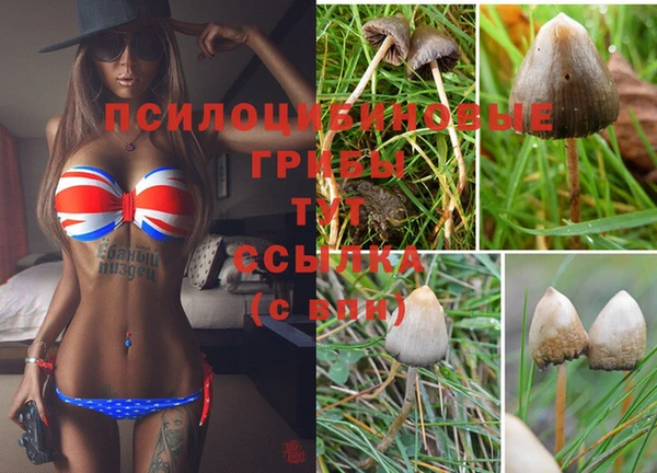 кокаин колумбия Алексин